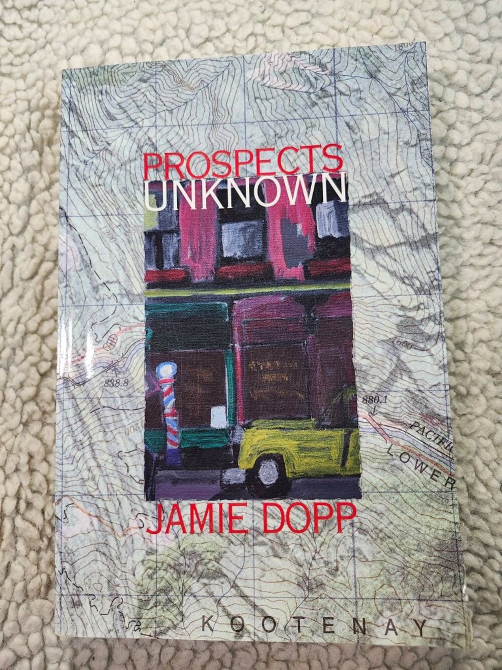 Prospects Unknown Jamie Dopp Paperback Ekstasis Editions 2000 Mystery Novel